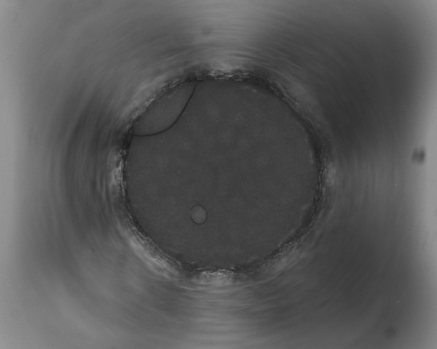 X0000112000914200909141057