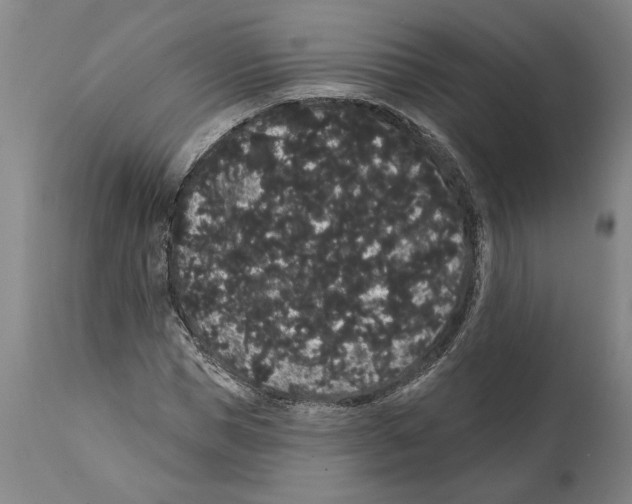 X0000112000921200909141057