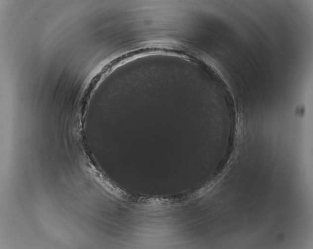 X0000112000923200909141057