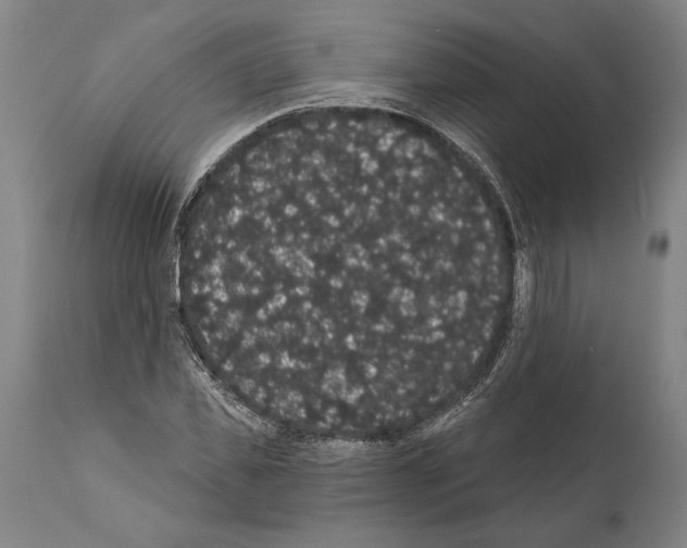 X0000112000925200909141057