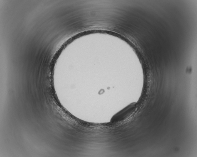 X0000112000926200909141057