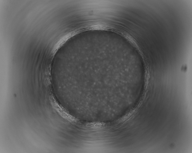 X0000112000930200909141057