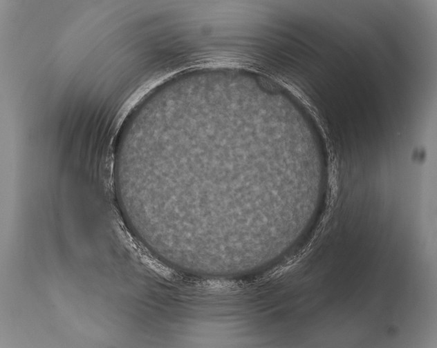 X0000112000933200909141057