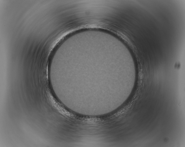 X0000112000934200909141057