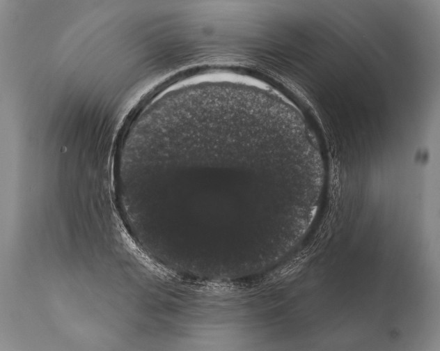 X0000112000935200909141057