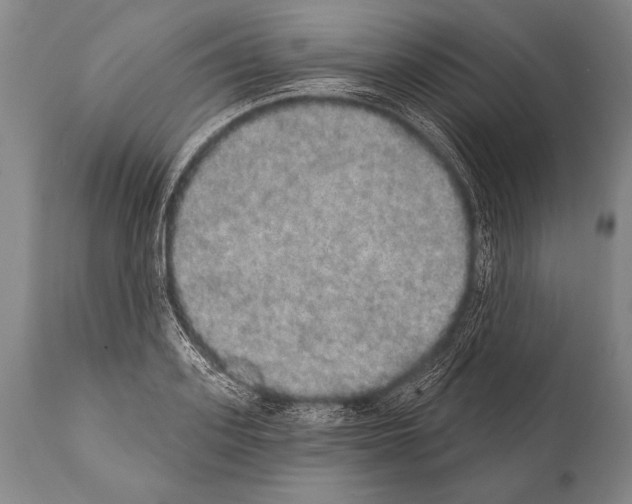 X0000112000939200909141058