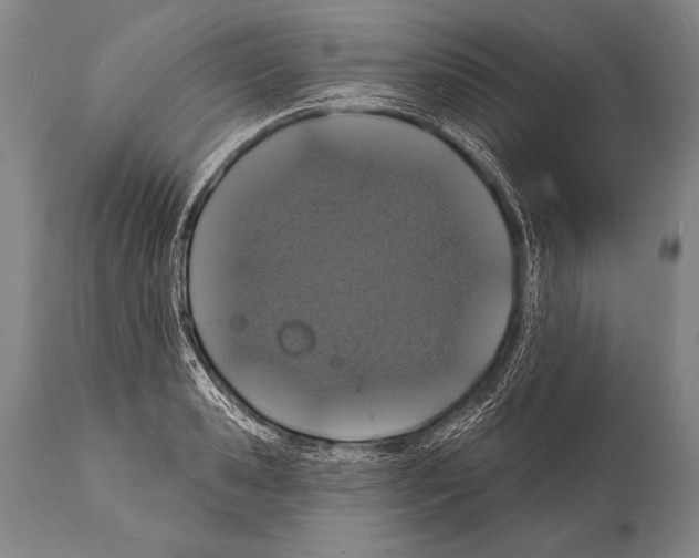 X0000112000941200909141058