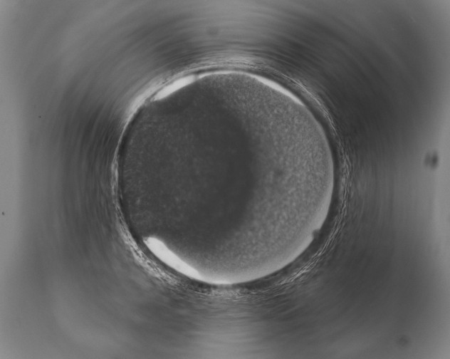 X0000112000944200909141058