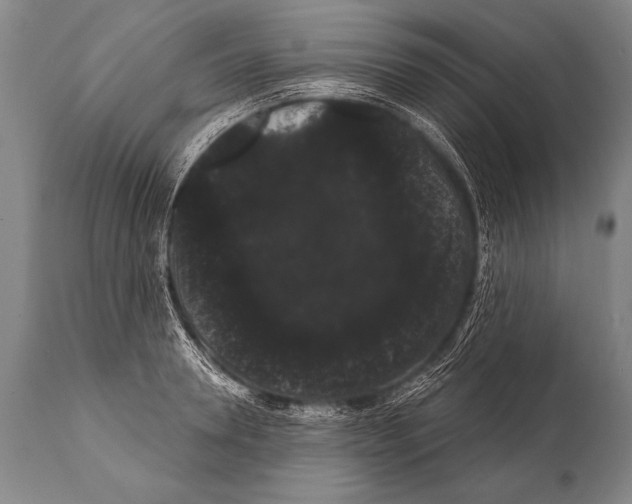 X0000112000946200909141058