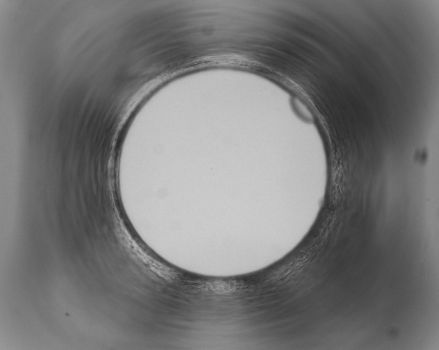 X0000112000947200909141058