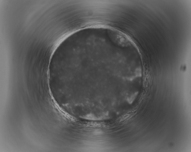 X0000112000951200909141058