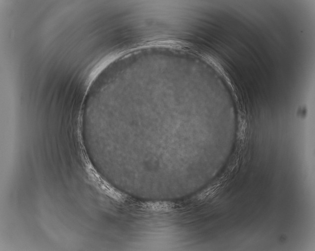 X0000112000952200909141058