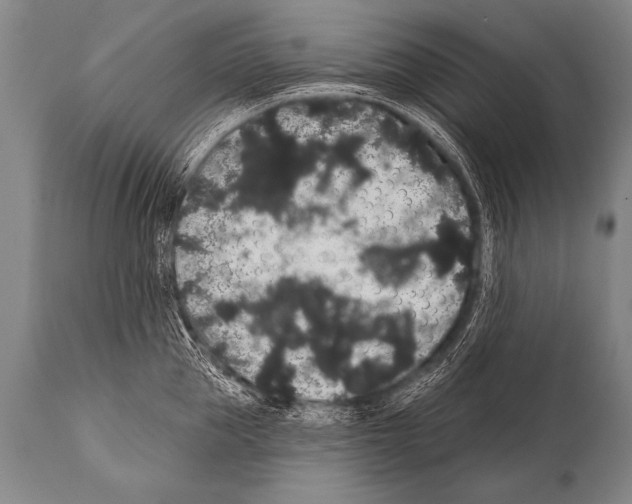 X0000112000953200909141058