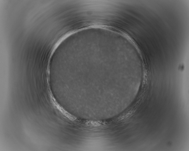 X0000112000955200909141058