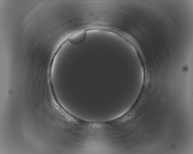 X0000112000958200909141058