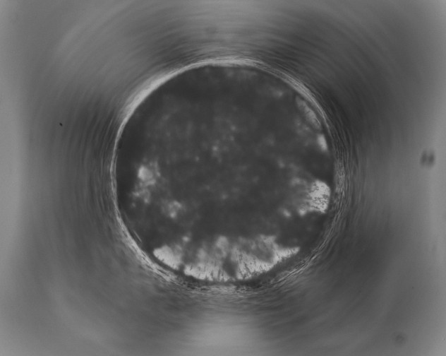 X0000112000959200909141058