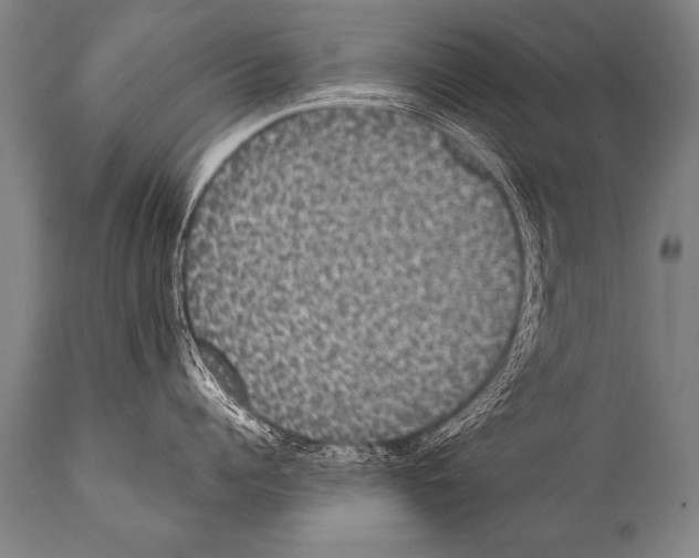 X0000112000960200909141058