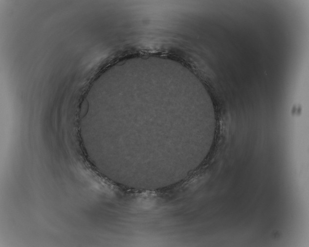 X0000112000961200909141057