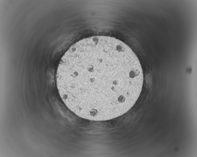 X0000112000963200909141057