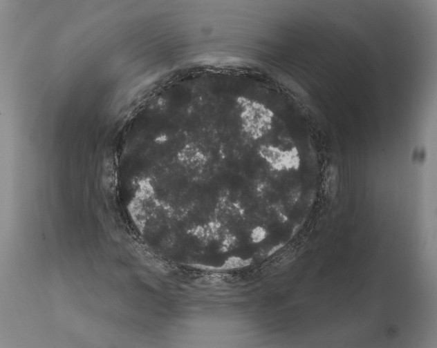 X0000112000966200909141057