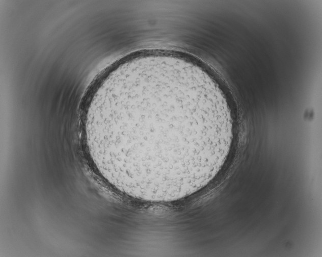 X0000112000974200909141057