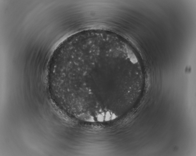 X0000112000975200909141057