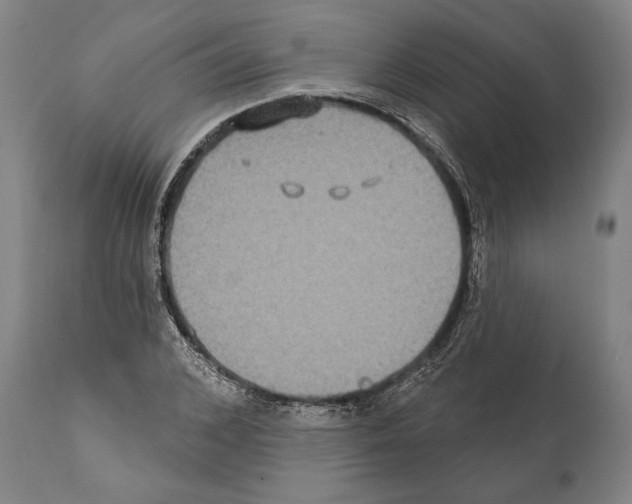 X0000112000976200909141057