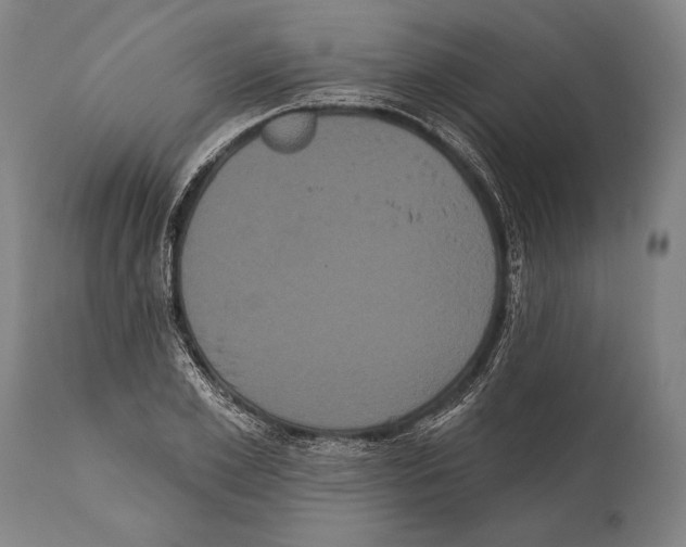 X0000112000981200909141057