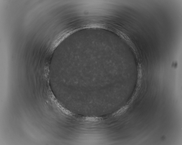 X0000112000985200909141057