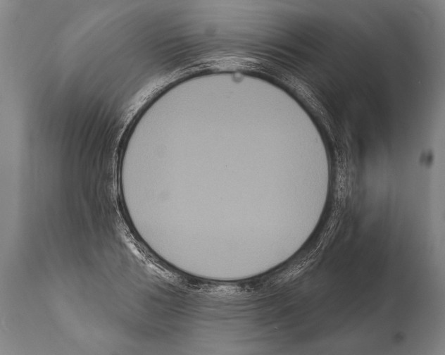 X0000112000986200909141057