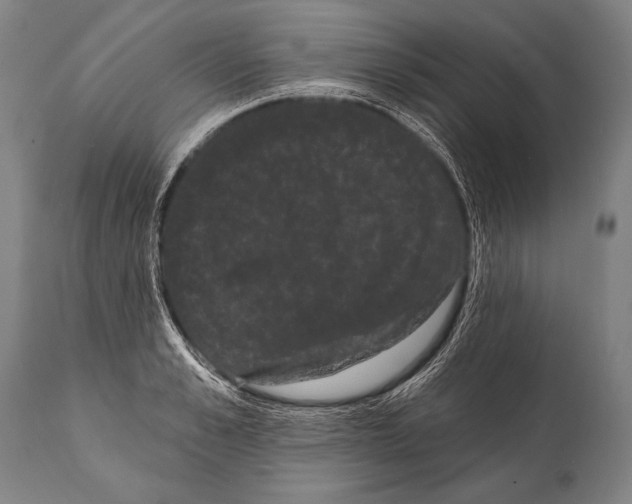 X0000112000989200909141057