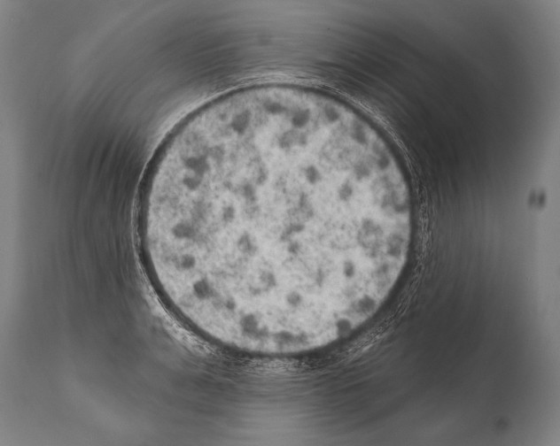 X0000112000991200909141057