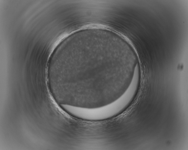 X0000112000997200909141057