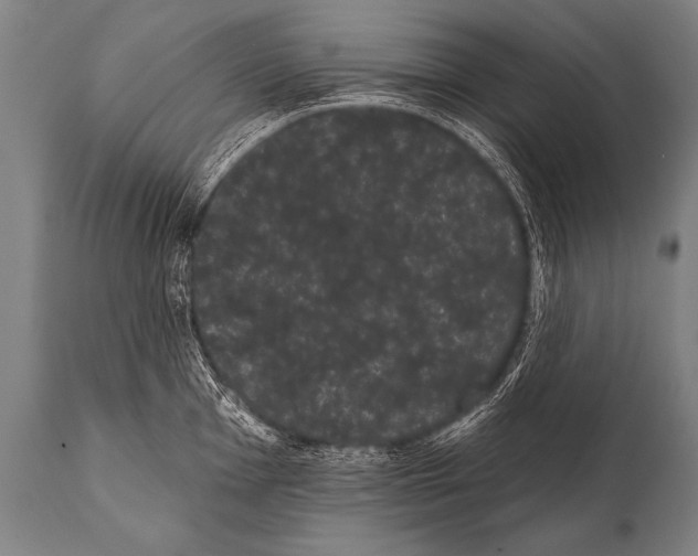 X0000112001001200909141057