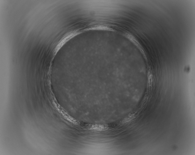 X0000112001002200909141057