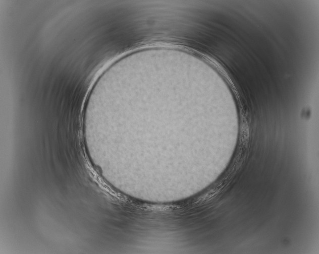 X0000112001004200909141057