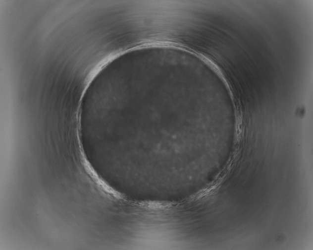 X0000112001005200909141057