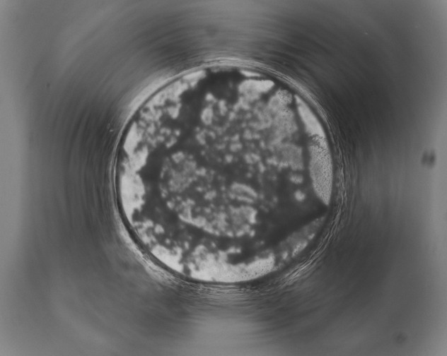 X0000112001007200909141057