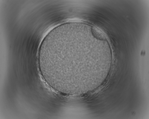 X0000112001008200909141057