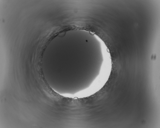 X0000112001009200909141056