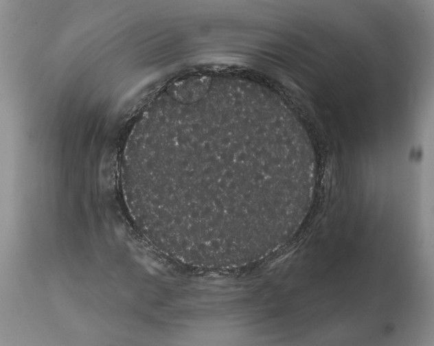 X0000112001014200909141056