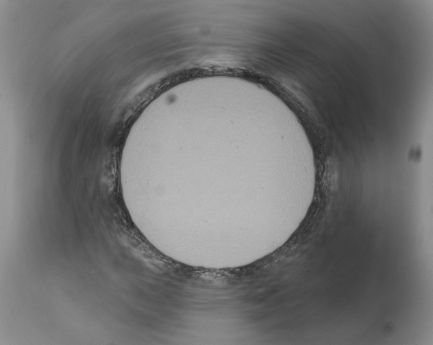 X0000112001015200909141056