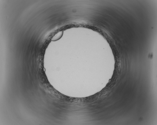 X0000112001016200909141056