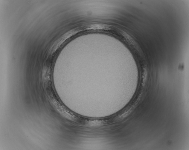 X0000112001017200909141056