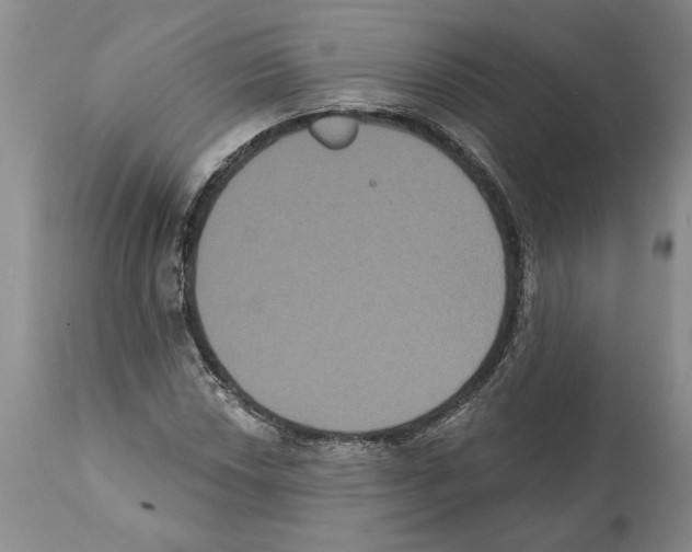 X0000112001018200909141056