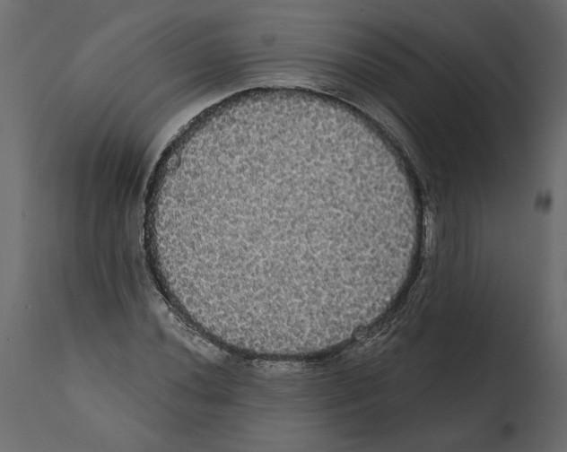 X0000112001020200909141056