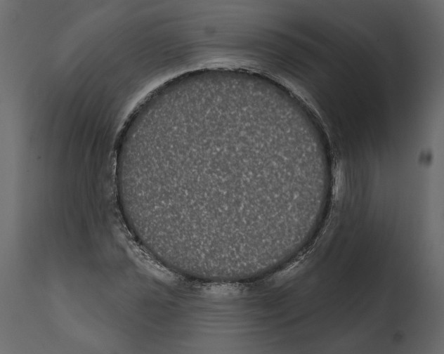 X0000112001021200909141056