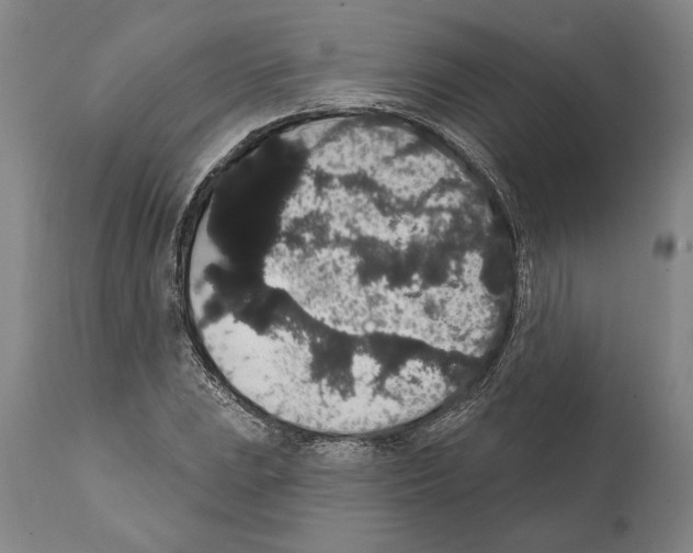 X0000112001023200909141056