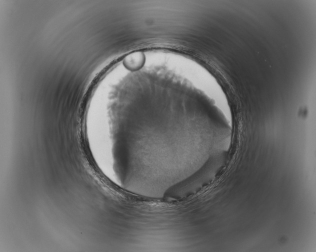 X0000112001024200909141056