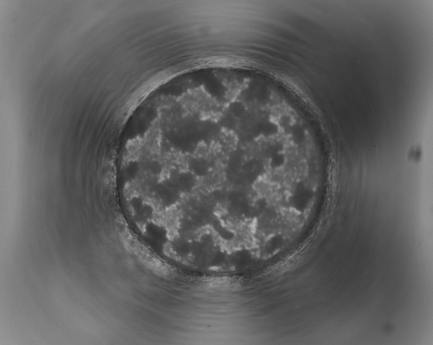 X0000112001025200909141056